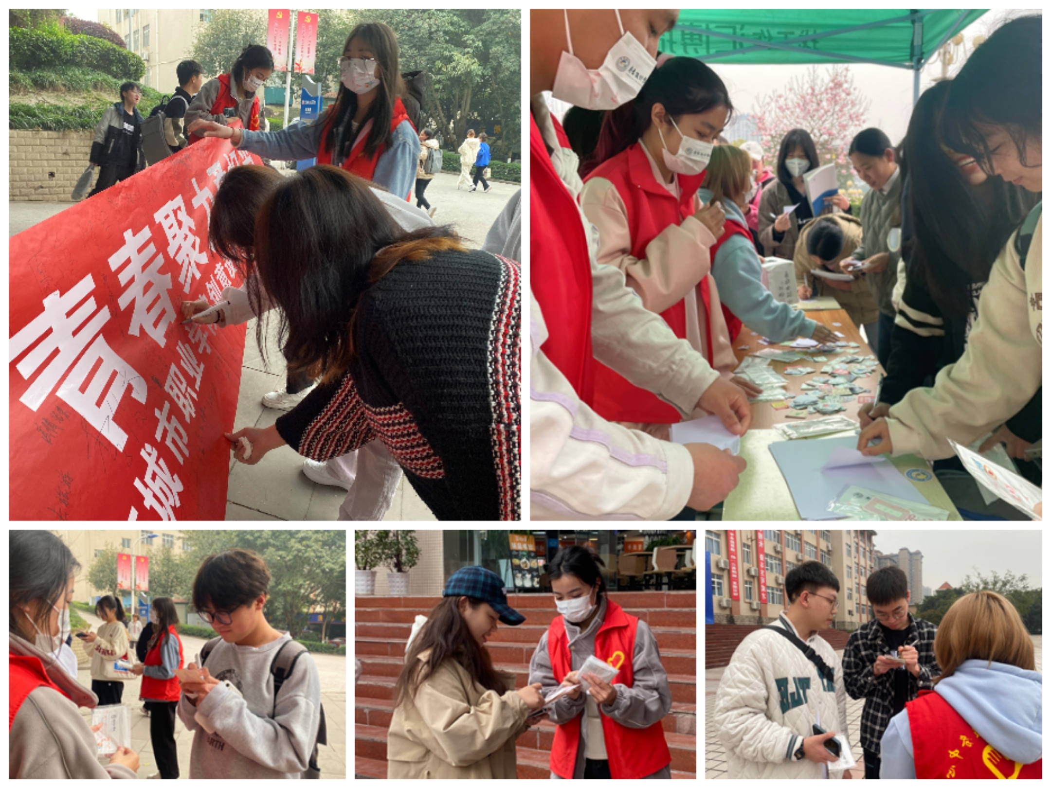 图片 5.png 图片 5.png